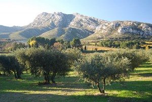 alpilles_a