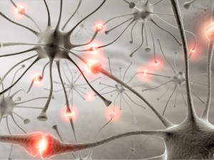 reseaux neurones